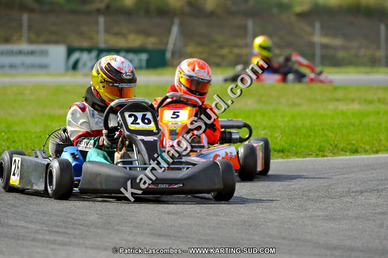 DSC_ (746).jpg